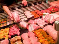 Nederland Vleesland biedt feiten vleesproductie