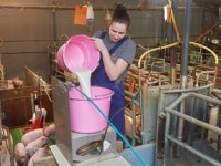 Veel extra biggen spenen