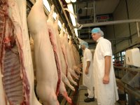 Westfleisch wil officieel alle locaties van Vion in Duitsland overnemen