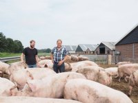 Van blanco naar bedreven biologisch varkens houden