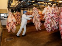 Analyse: Europese varkensslachterijen slijpen hun messen