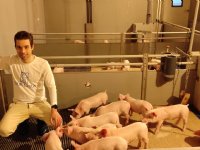 Cameratechnieken vergroten openheid varkensbedrijf