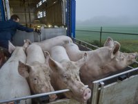 Countus: 'Gas geven op behalen van robuust, maximaal rendement'