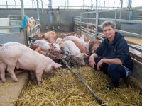 Noordman stopt met bijzonder stalconcept Varkenshoff