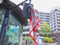 FDF rekent op boerwaardige demonstratiedag