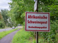 Varkenshouders in Duitsland willen standstillperiode na AVP verkorten