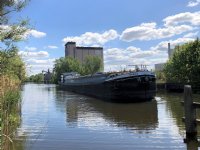 Voergroep Zuid groeit iets in varkensvoerafzet