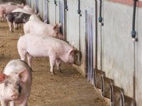 Westfleisch profileert zich met eigen premiummerk