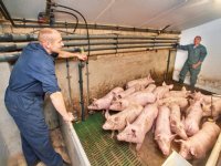Niet zomaar draagvlak voor innovaties emissiereductie