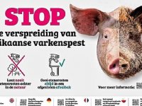 Duidelijkere waarschuwingsborden tegen varkenspest