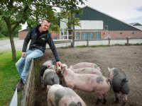 ‘Puntjes op de i: en de staartpuntjes blijven eraan’