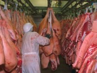 Duits varkensvlees mag weer naar Oekraïne