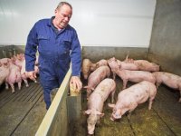Voerproeven bewijzen rendabele kilo’s