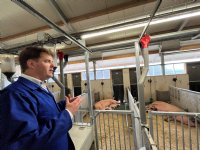 Livar turnt twee varkenslocaties om voor productie Limburgs kwaliteitsvlees