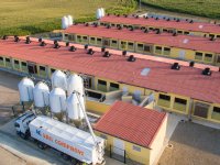 Spaanse varkenssector investeert in relatie met China