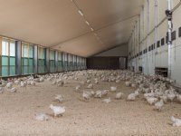 'RAV-systematiek is failliet'