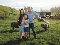 Nieuw-Zeeland moet volop varkensvlees importeren