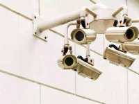 Cameratoezicht in Spaanse slachthuizen verplicht