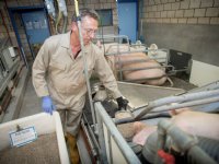 Hoge voeropname zeug beter voor werpproces