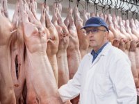 ‘Inlandse verwerking restvarkens vijzelt sectorimago op’