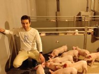 Natuurlijker licht in varkensstal staat centraal in roadshow