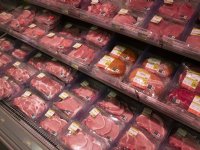 Varkens houden in concept biedt geen garantie op positief neveneffect