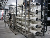 Bij aanpak mestoverschot is meer nodig dan grondgebondenheid melkvee