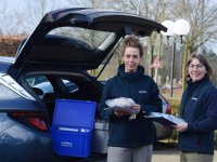 Diagnostiek is het fundament voor verbeteren gezondheid