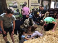 Storytellers en bedrijven porren voor varkensweekend