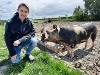'Met 25 procent groei per jaar komen we er wel met Buitengewone Varkens'