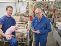 Bruisende faciliteit voor onderzoek varkensvoeding bestaat vijf jaar