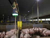 SoundTalks uit servicepakket van Boehringer Ingelheim