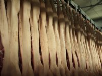 Deense export varkensvlees groeit met 7 procent