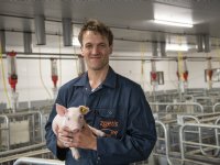 ‘To adapt or not to adapt’