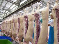 Slachthaken 8 procent minder goed gevuld