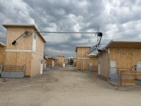 Eenrichtingsverkeer in de kraamstal bij familie Ten Have
