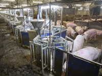 MaxiBuff kan verschil maken: ‘Calciumbron stimuleert prestatiedrang’