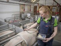‘Waardevolle informatie zit onder de huid van de zeug’