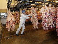 Vleessector toont vooruitgang en verzet zich tegen dreigend uitzendverbod
