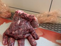 Verborgen impact van PRRS in de praktijk blootgelegd