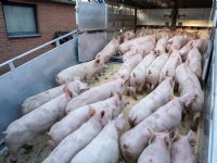‘Biggentransport meemaken zorgt voor eyeopeners’