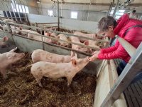 Geslaagd en gezellig druk Weekend van het Varken