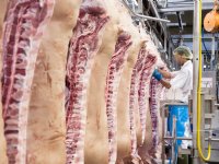 Vleesproductie op historisch laag niveau