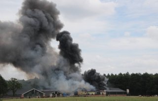 Schouten%3A+scherp+brandveiligheid+stallen+aan