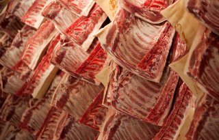 Exportrecord+varkensvlees+EU