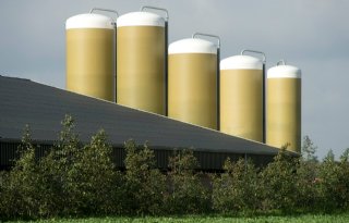 Varkensboeren+zijn+dupe+van+lokaal+geurbeleid