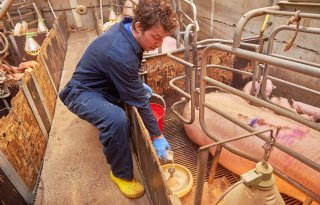 Doordat de diarreeproblemen zijn opgelost, kon Mark weer starten met melk bijvoeren. 