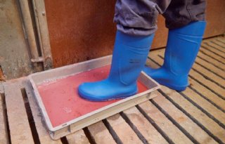 Een goede hygiëne is van belang bij elke kraamafdeling staan ontsmettingsbakken voor de laarzen. 
