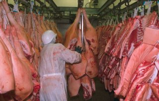 Chinese+importverboden+Braziliaans+varkensvlees+opgeheven