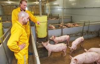 Altijd+op+tijd+in+actie+tegen+PIA